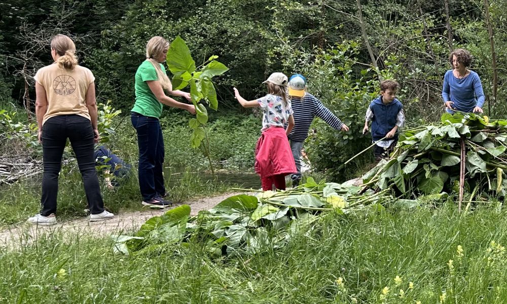 Knoterich schneiden 2025 ausschnitt
